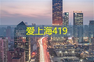上海新茶网：夜上海中的隐秘乐园：别有洞天的奇趣之地